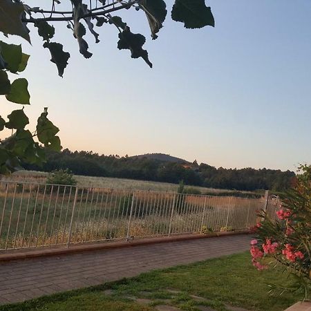 Casa La Pineta Villa Pievescola Luaran gambar